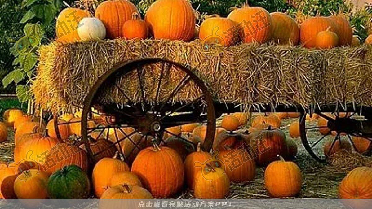 嘉年华活动策划方案