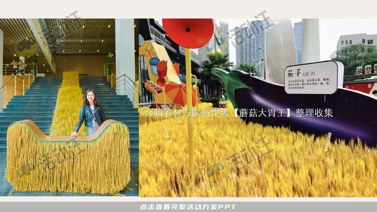 嘉年华活动策划方案