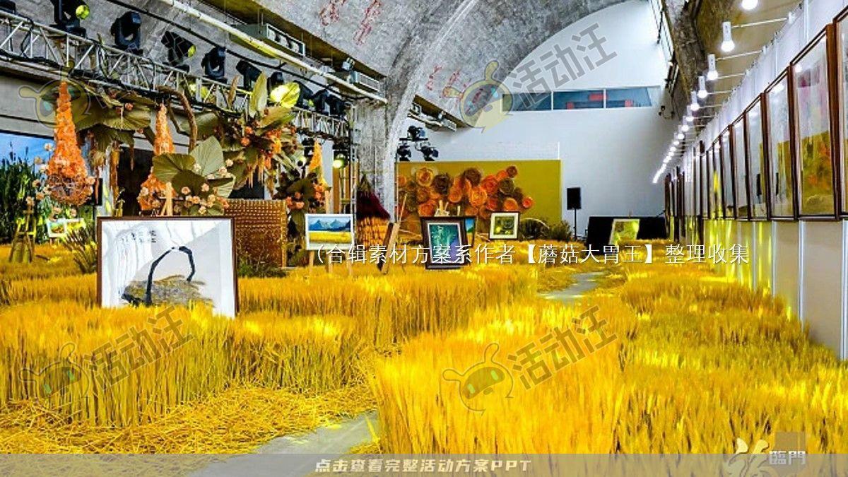 嘉年华活动策划方案