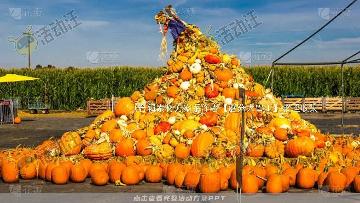 嘉年华活动策划方案