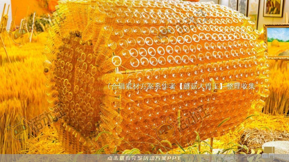 嘉年华活动策划方案