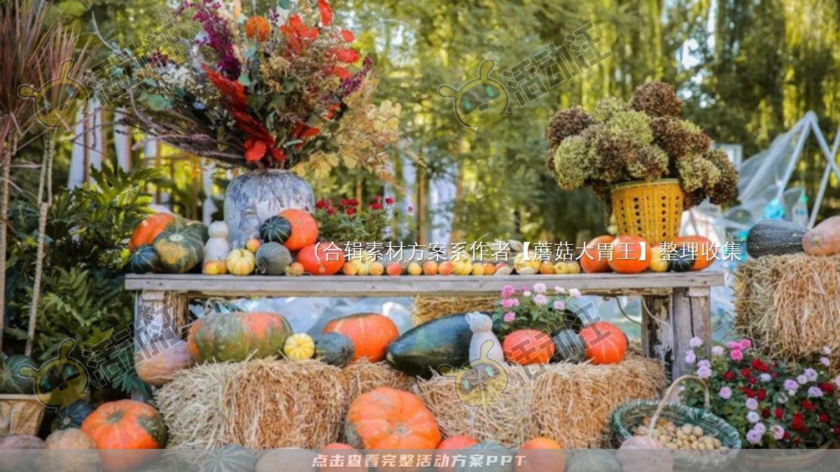 嘉年华活动策划方案