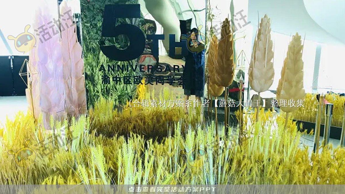 嘉年华活动策划方案