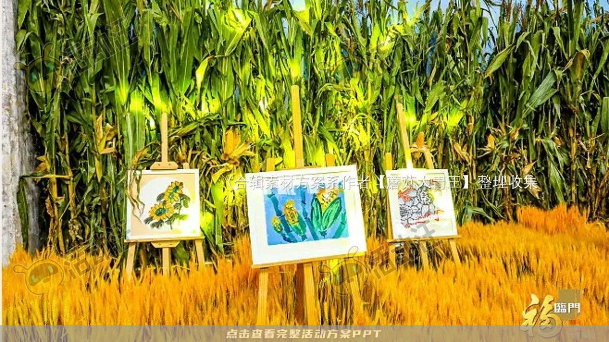 嘉年华活动策划方案