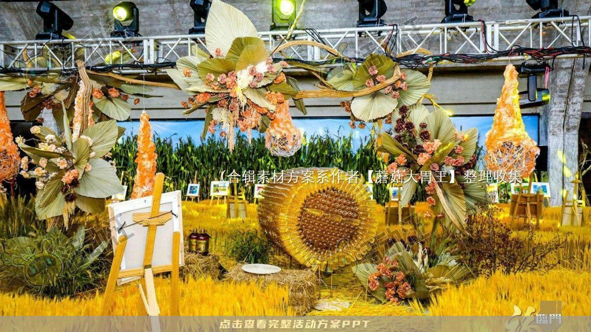 嘉年华活动策划方案