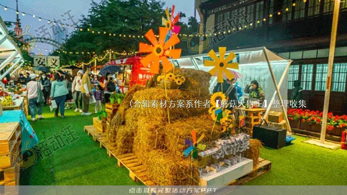 嘉年华活动策划方案