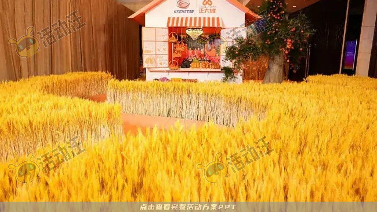 嘉年华活动策划方案