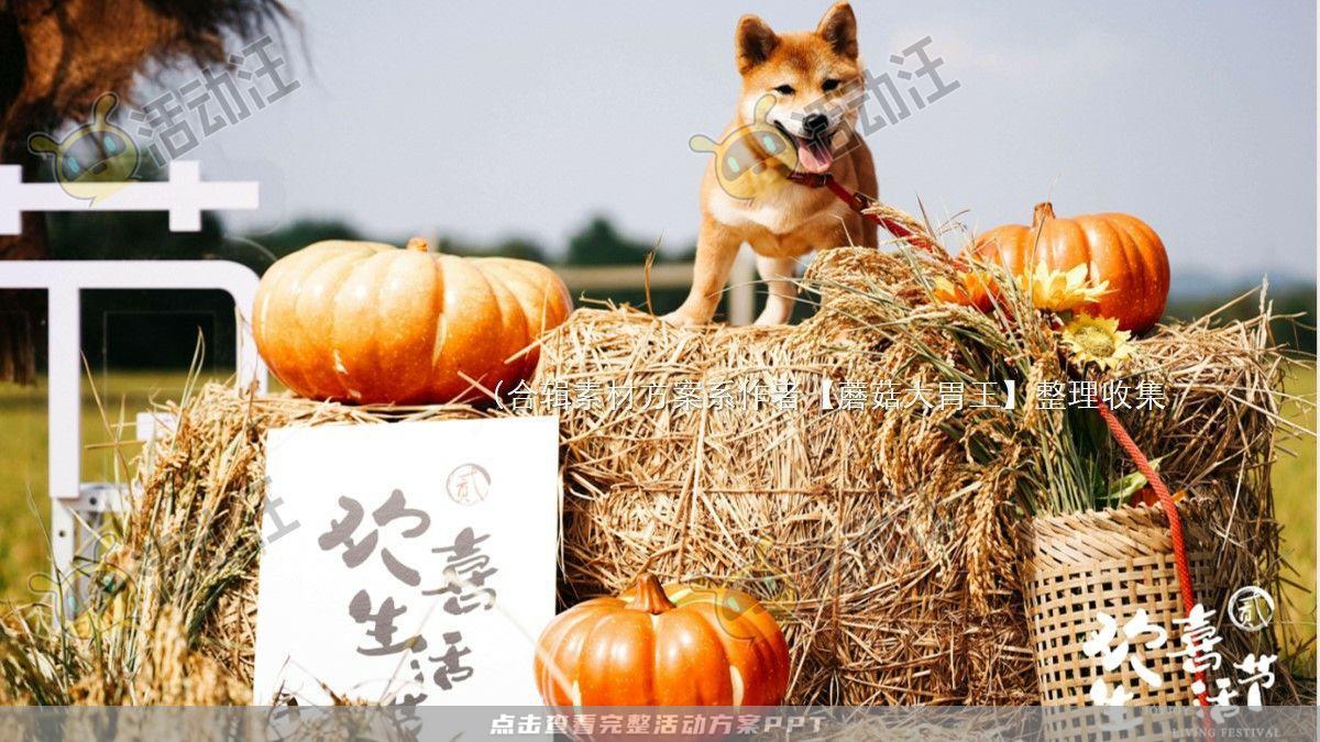 嘉年华活动策划方案