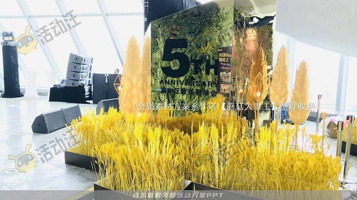 嘉年华活动策划方案