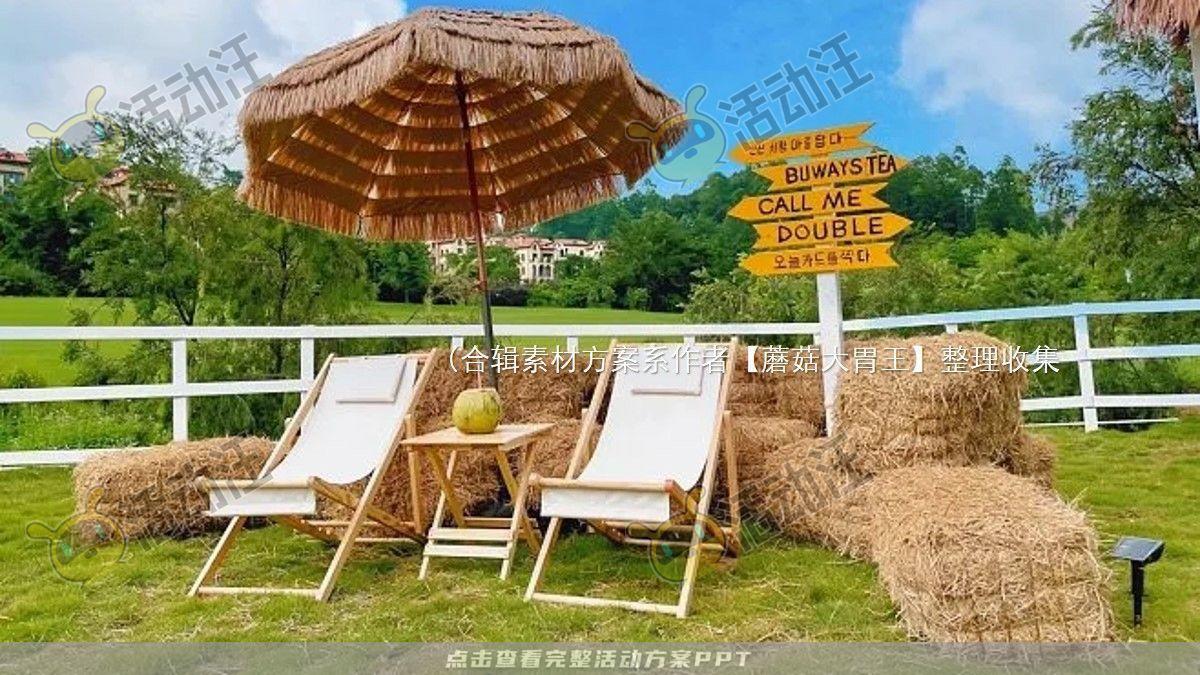 嘉年华活动策划方案