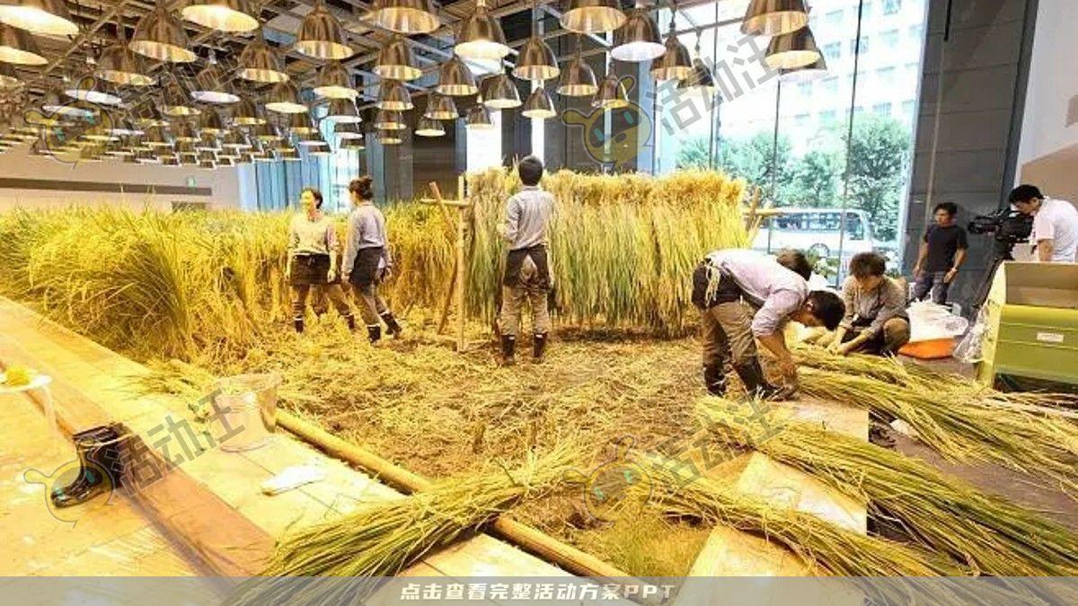 嘉年华活动策划方案