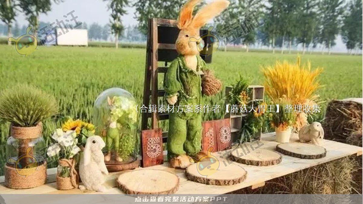 嘉年华活动策划方案