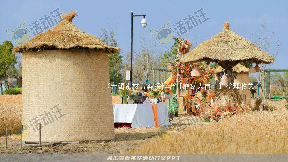 嘉年华活动策划方案