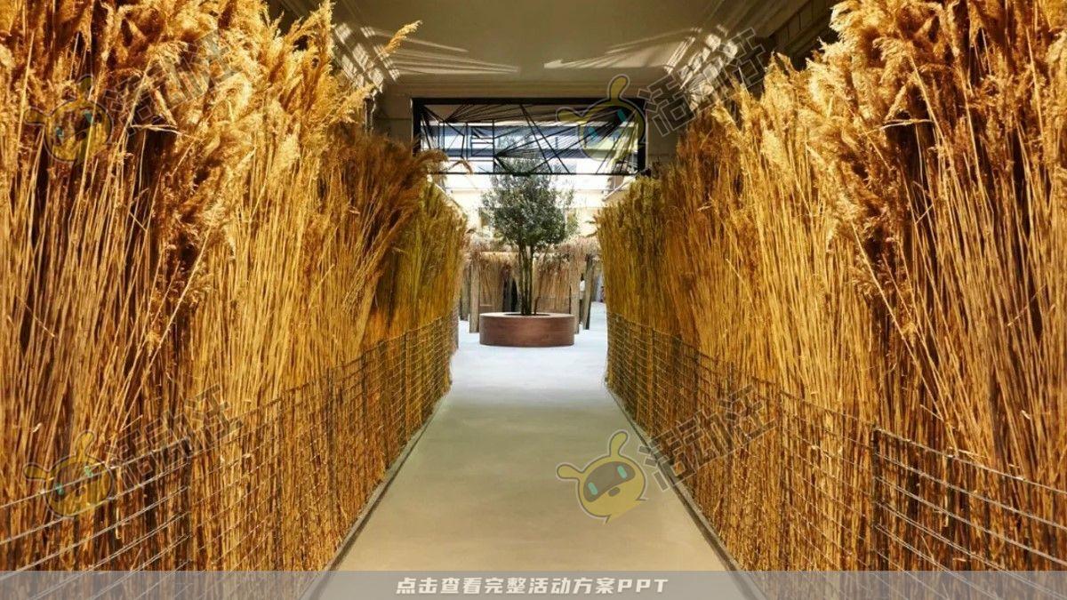 嘉年华活动策划方案