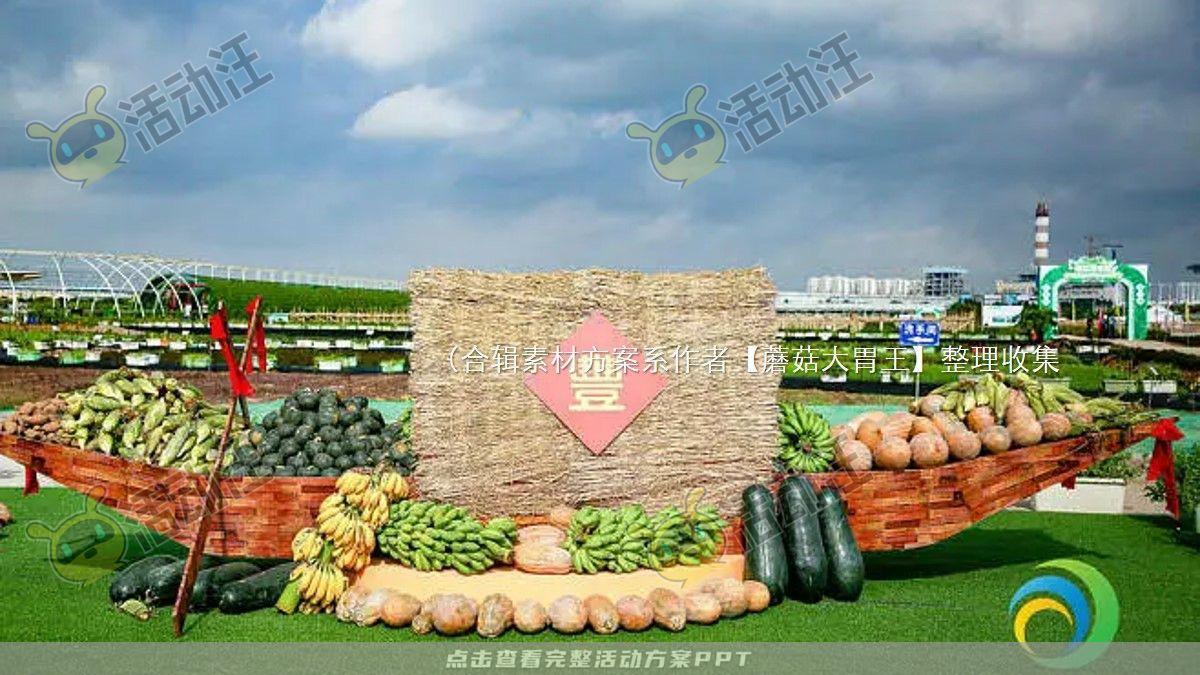 嘉年华活动策划方案