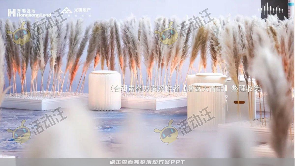 嘉年华活动策划方案