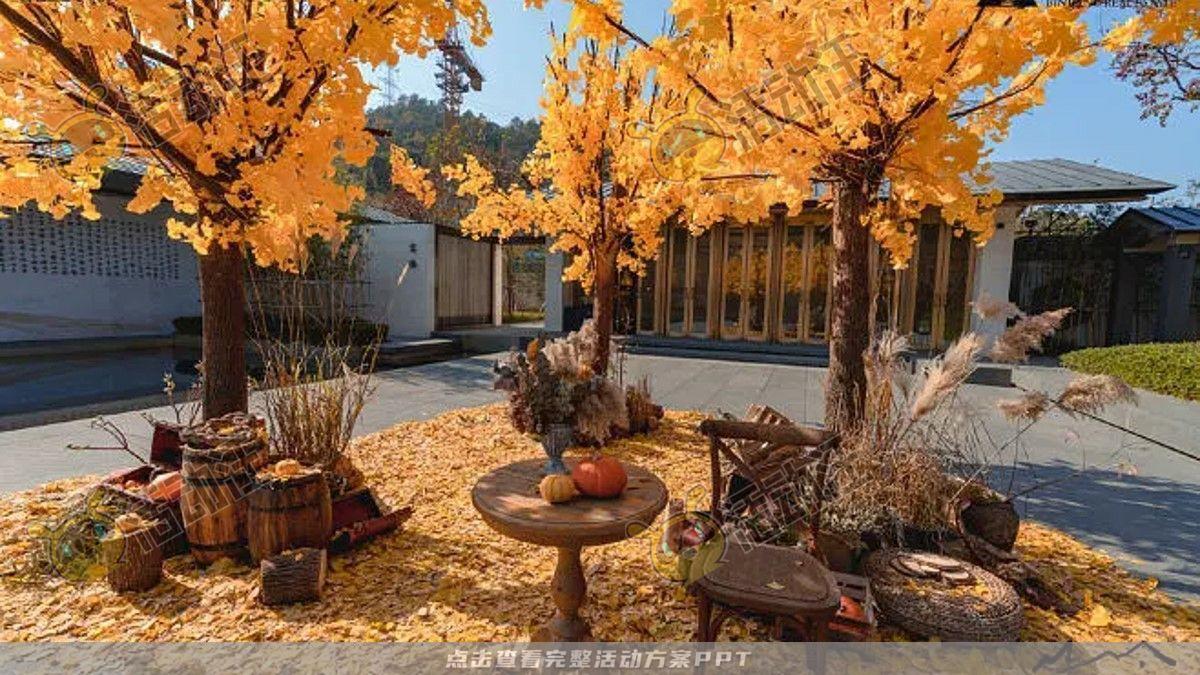 嘉年华活动策划方案