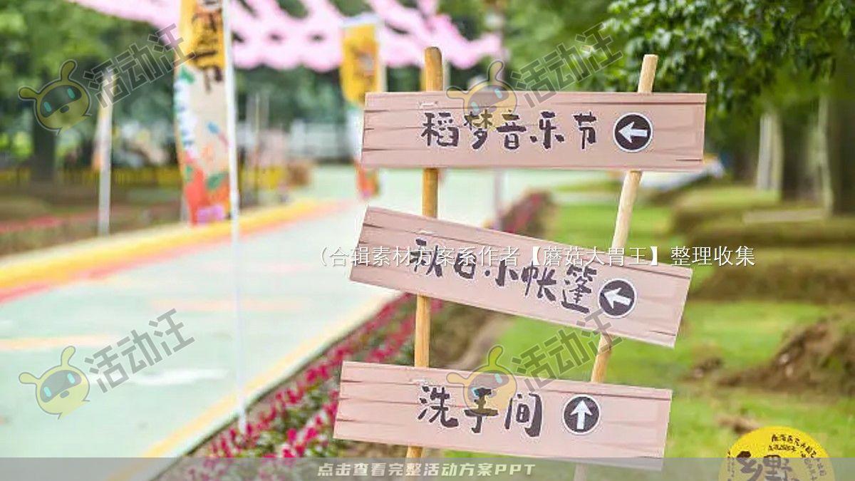 嘉年华活动策划方案