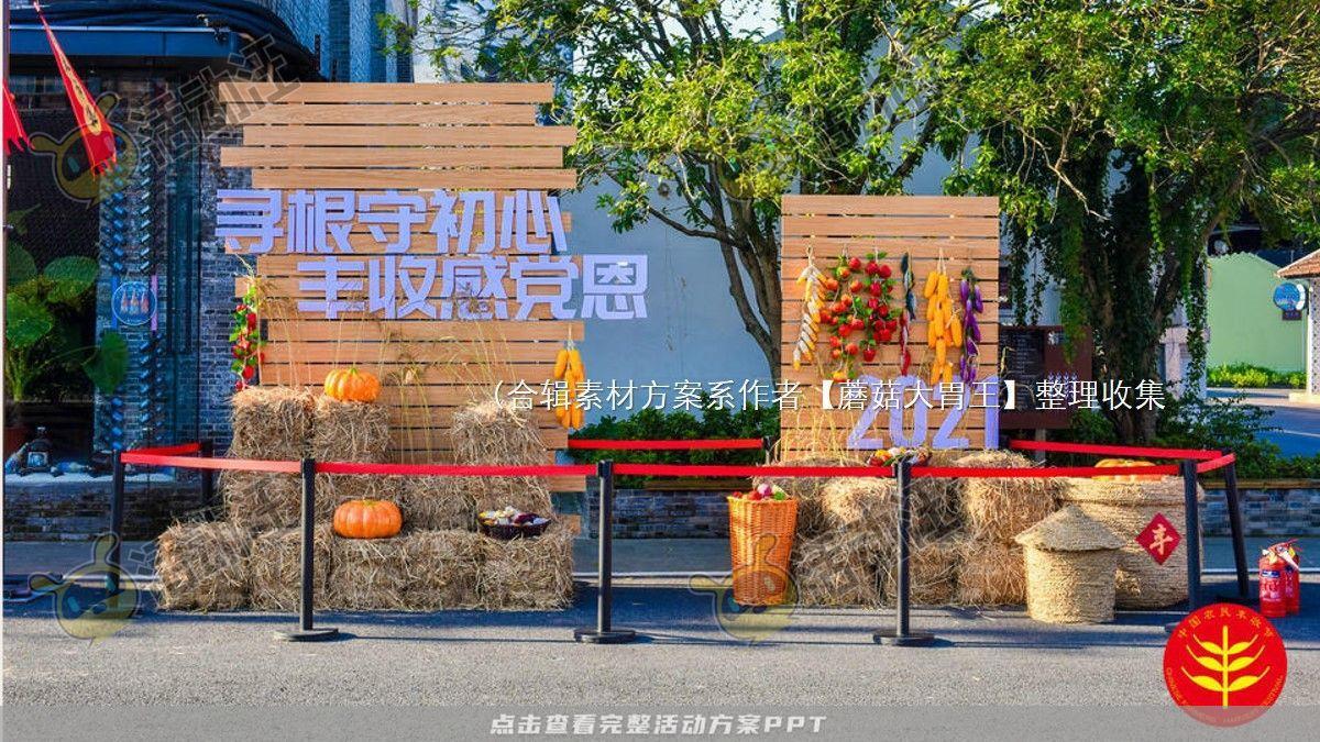 嘉年华活动策划方案