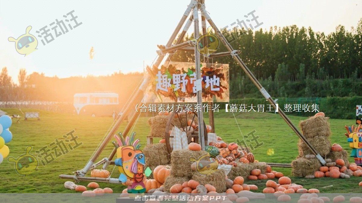 嘉年华活动策划方案