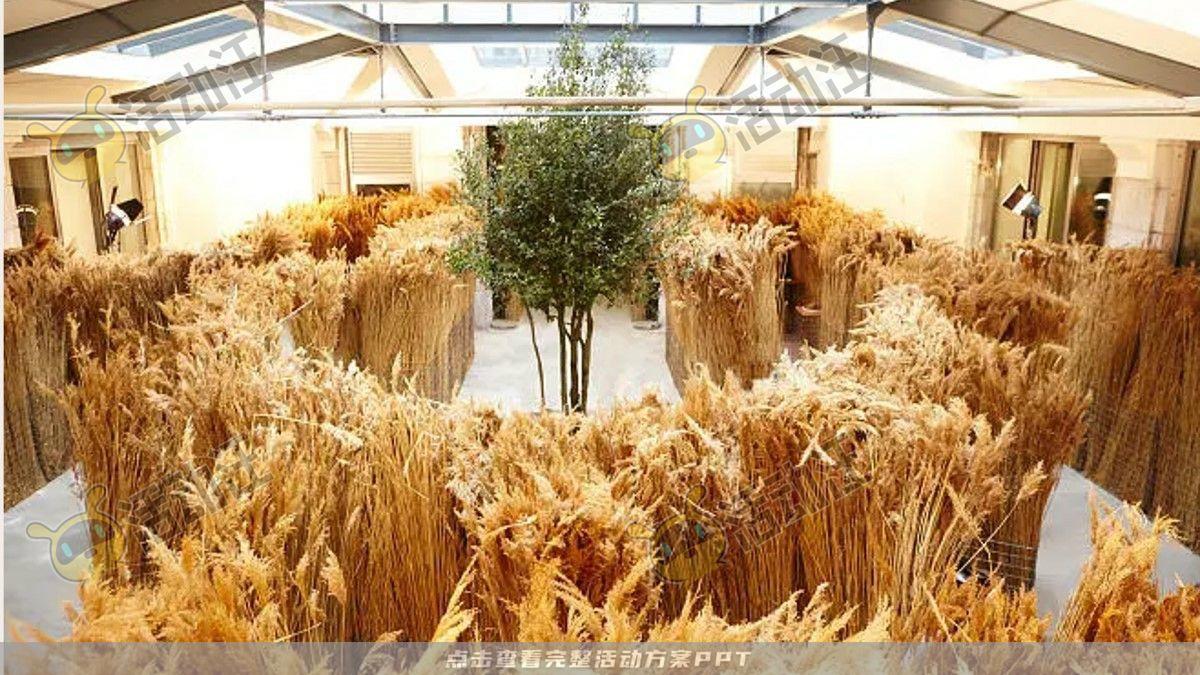 嘉年华活动策划方案