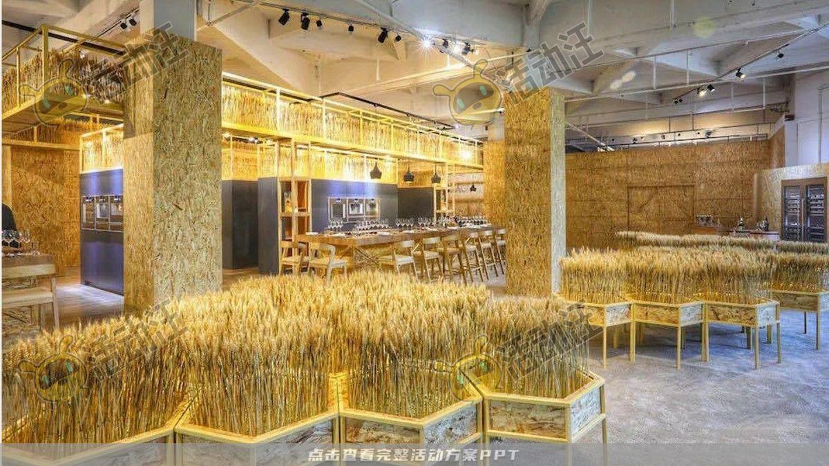 嘉年华活动策划方案