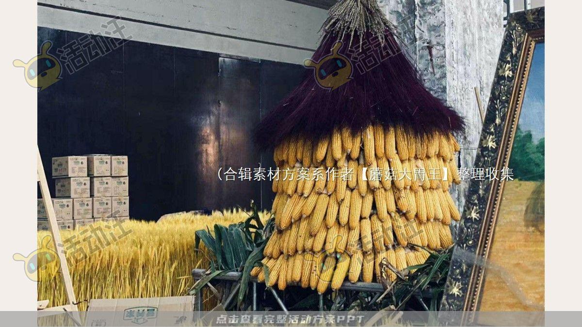 嘉年华活动策划方案