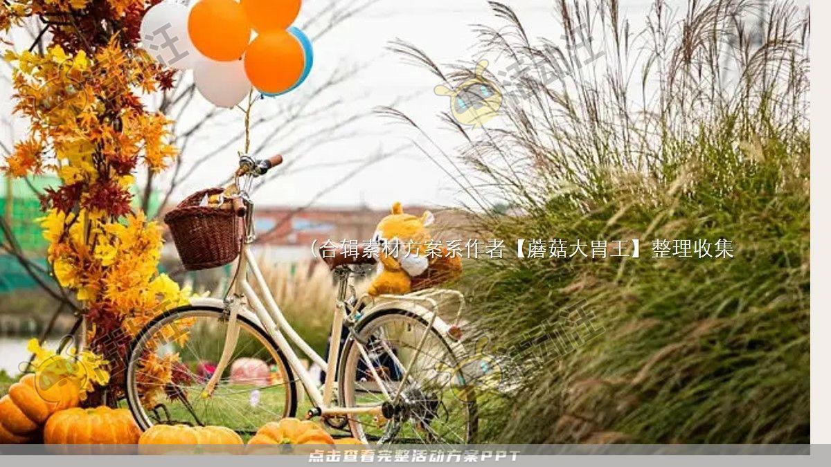 嘉年华活动策划方案