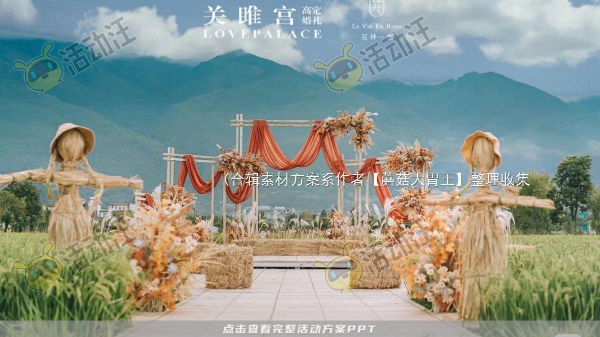 嘉年华活动策划方案