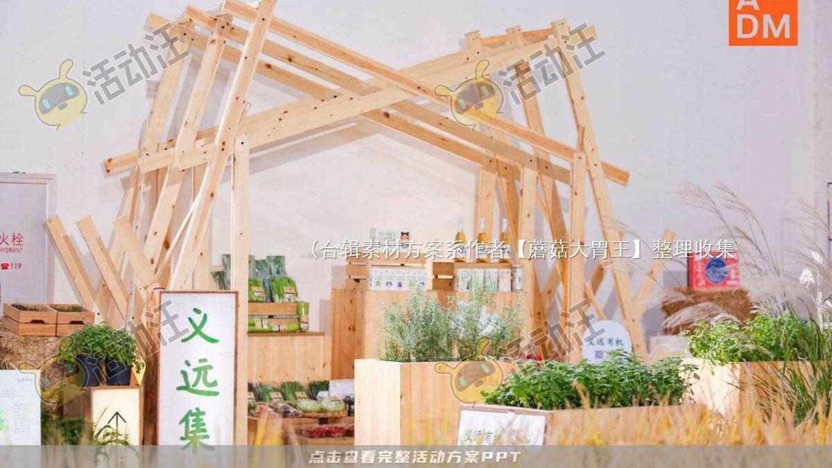 嘉年华活动策划方案