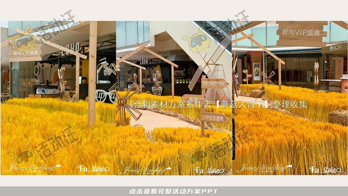 嘉年华活动策划方案