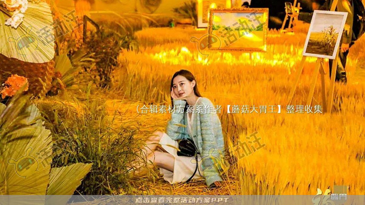 嘉年华活动策划方案