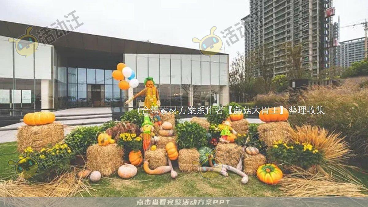 嘉年华活动策划方案