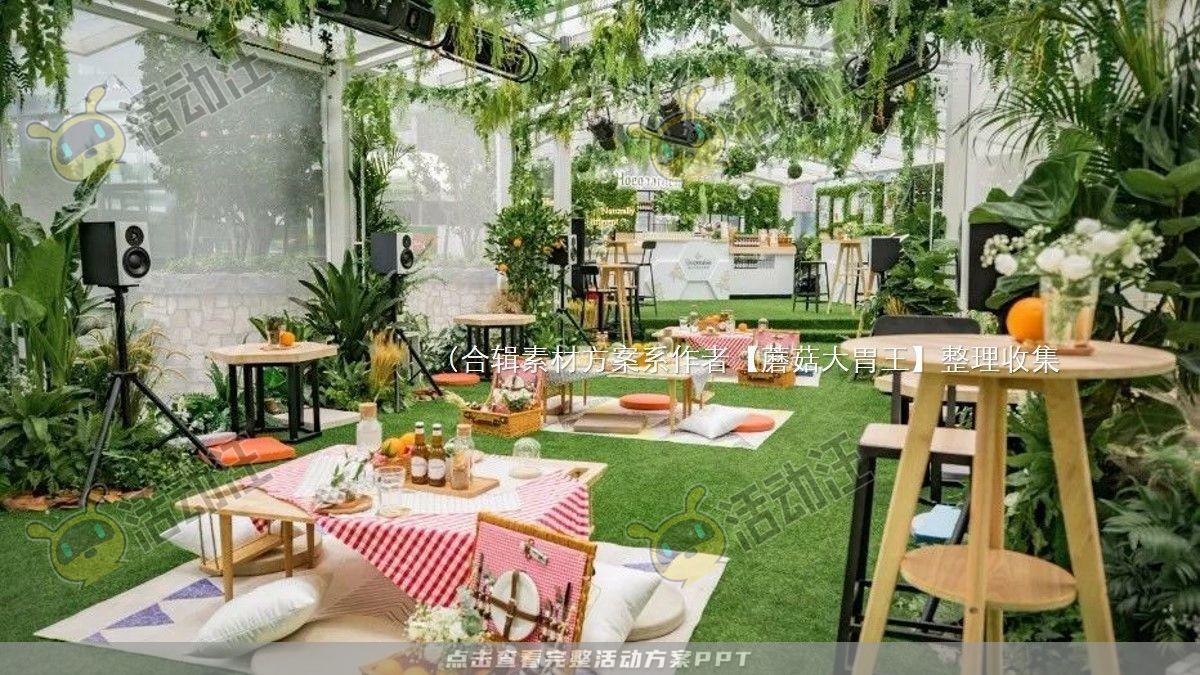 嘉年华活动策划方案