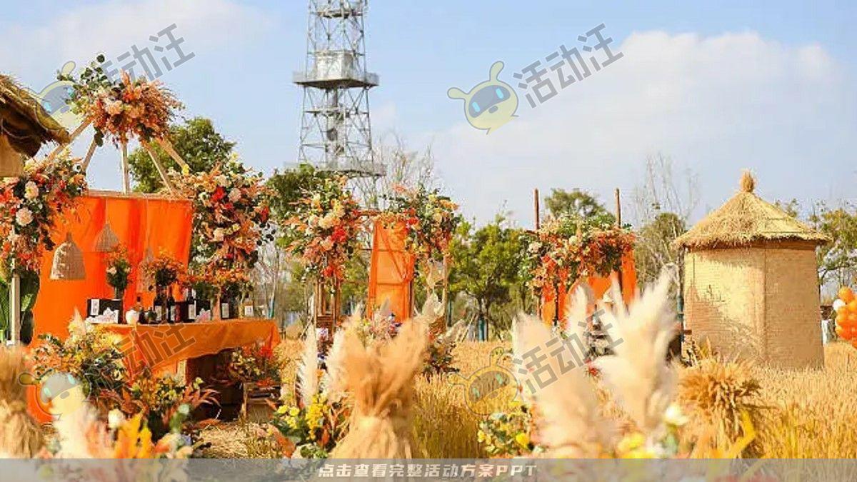 嘉年华活动策划方案