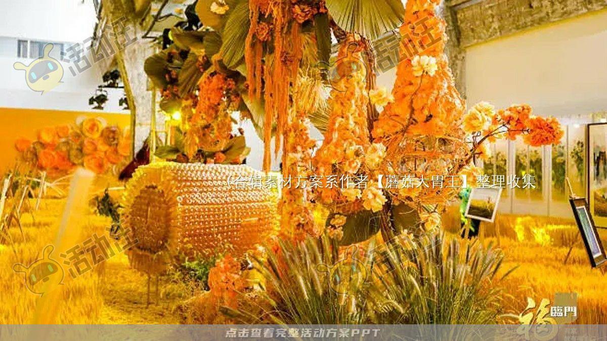 嘉年华活动策划方案