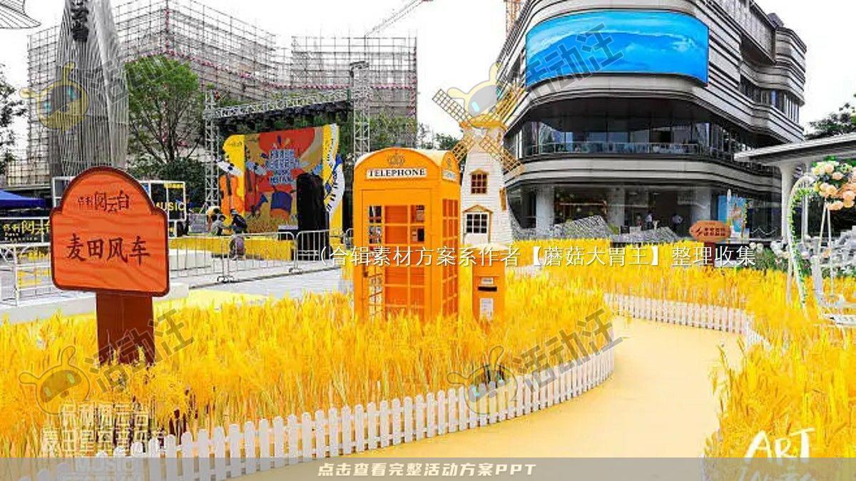 嘉年华活动策划方案