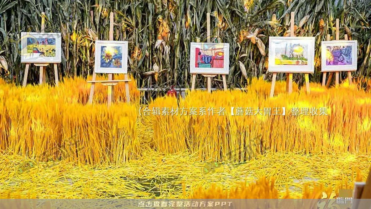 嘉年华活动策划方案