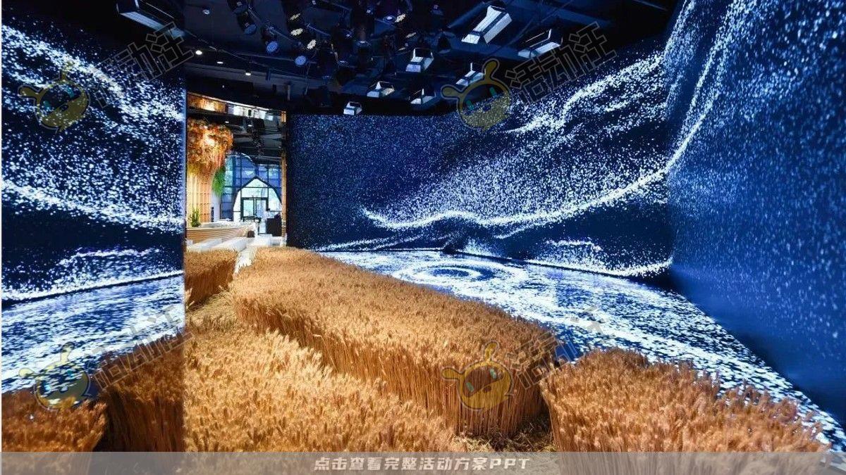 嘉年华活动策划方案