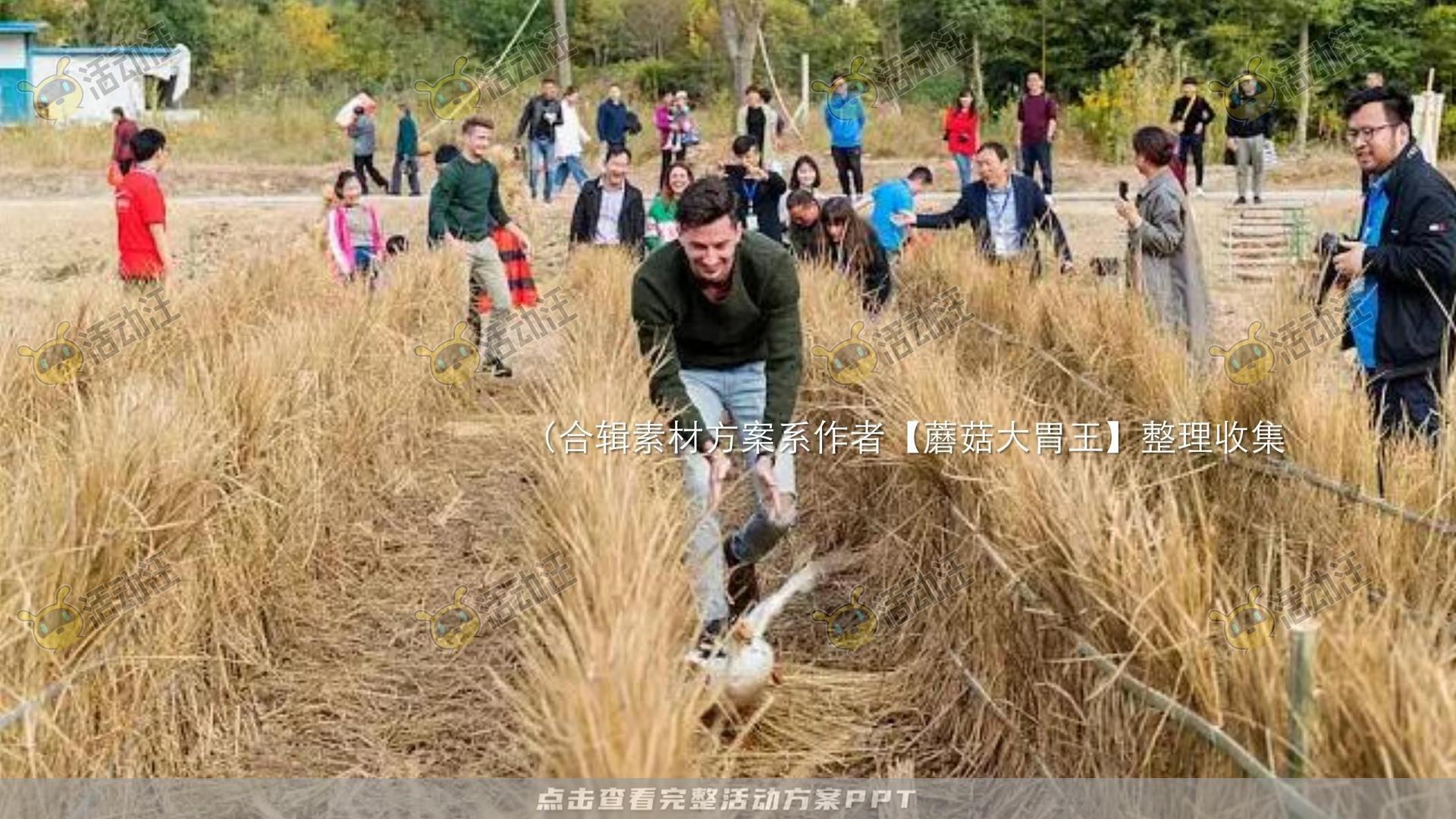 生活节活动策划方案