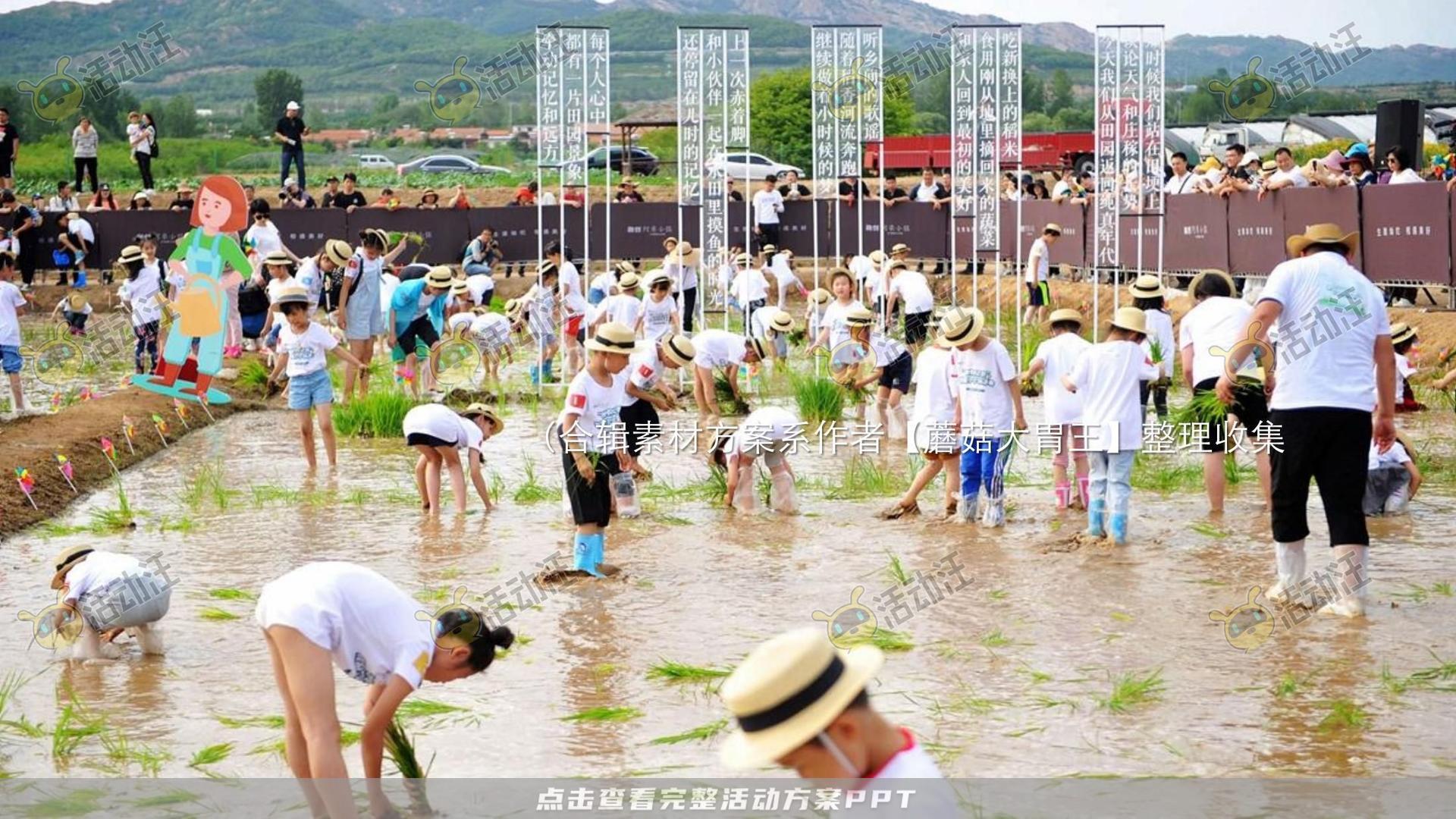 生活节活动策划方案