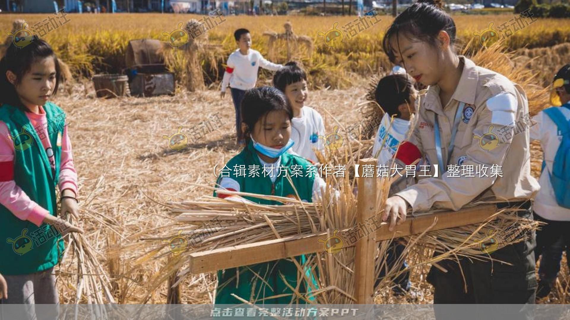 生活节活动策划方案