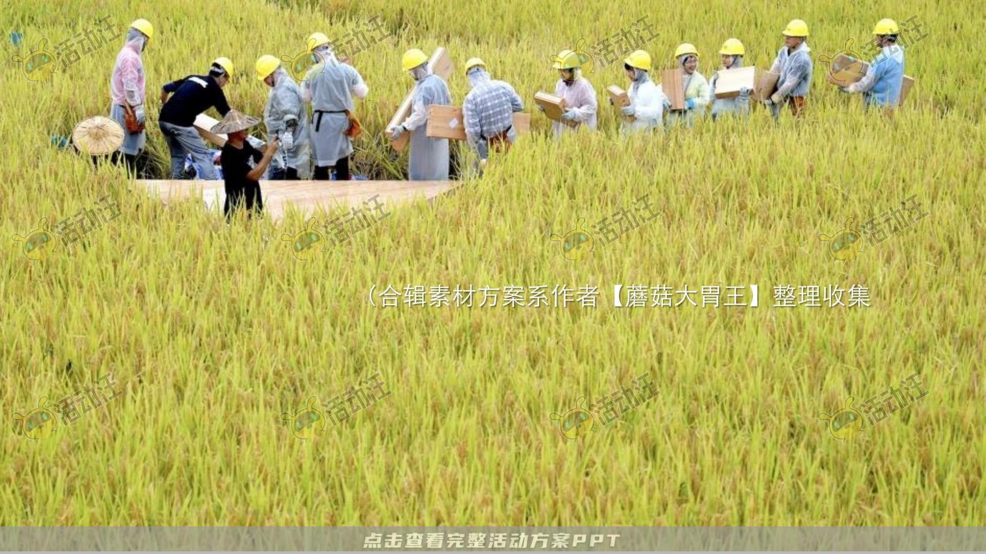 生活节活动策划方案