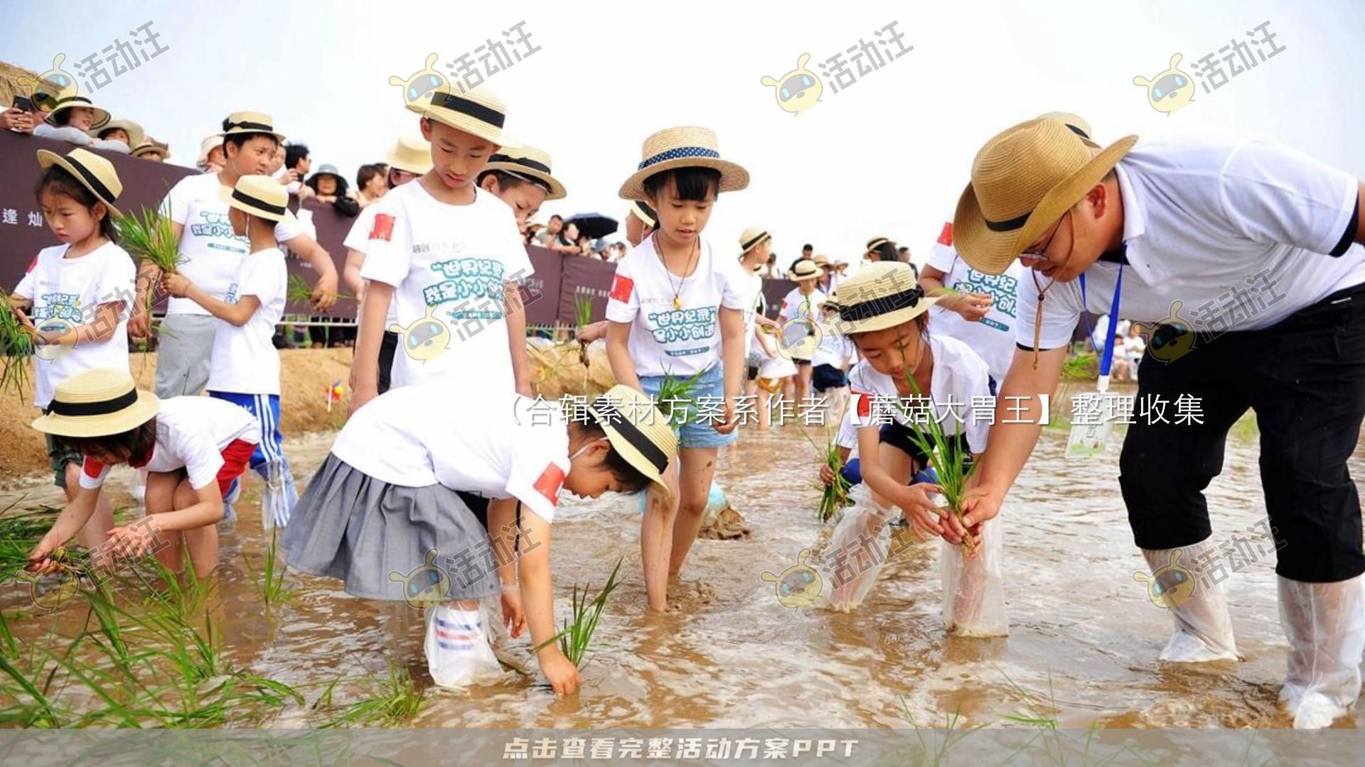 生活节活动策划方案