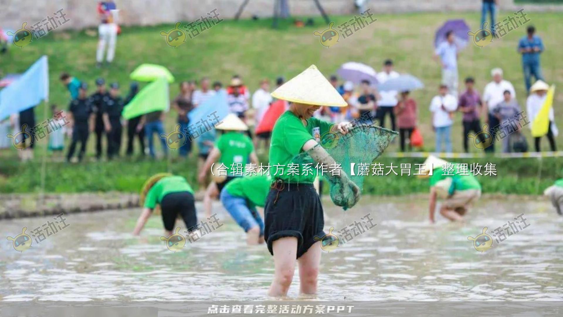 生活节活动策划方案