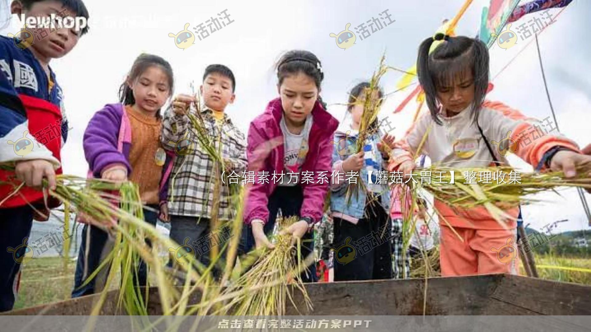 生活节活动策划方案