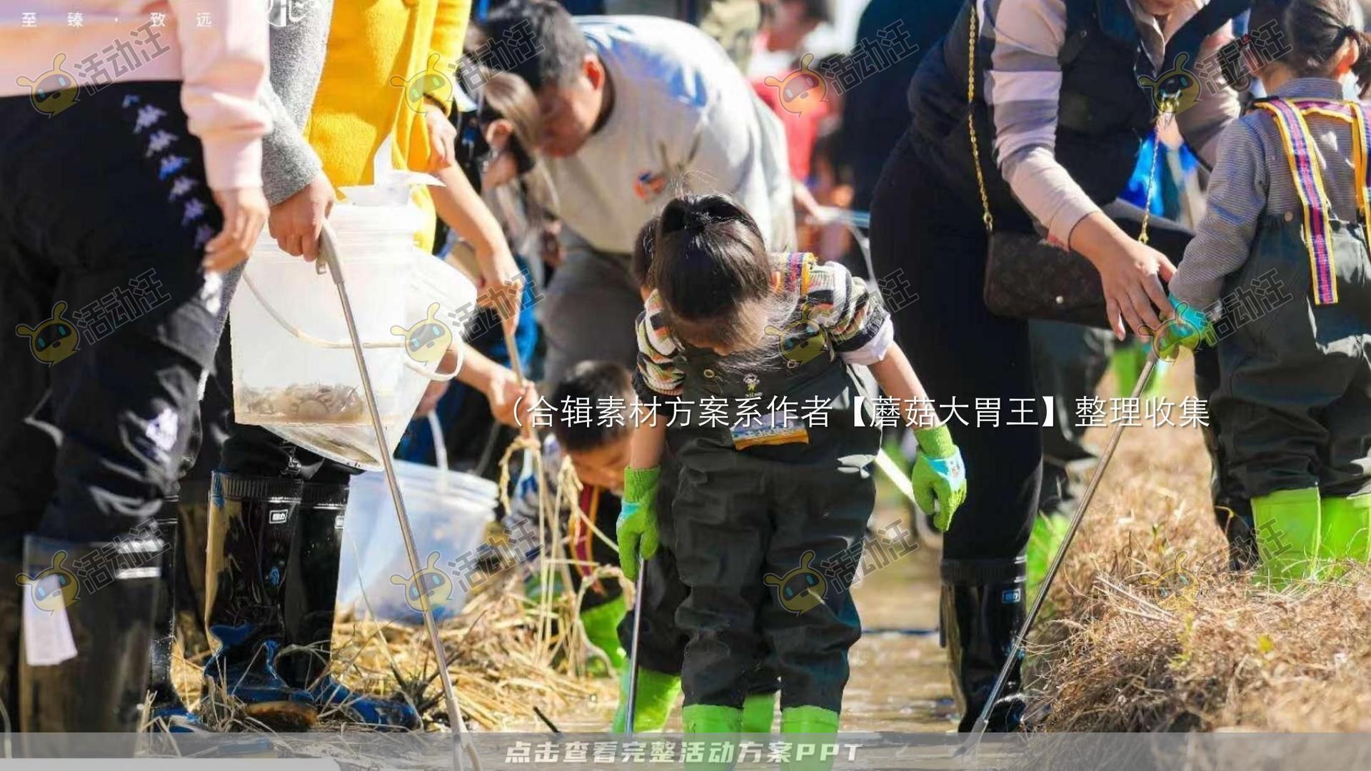 生活节活动策划方案