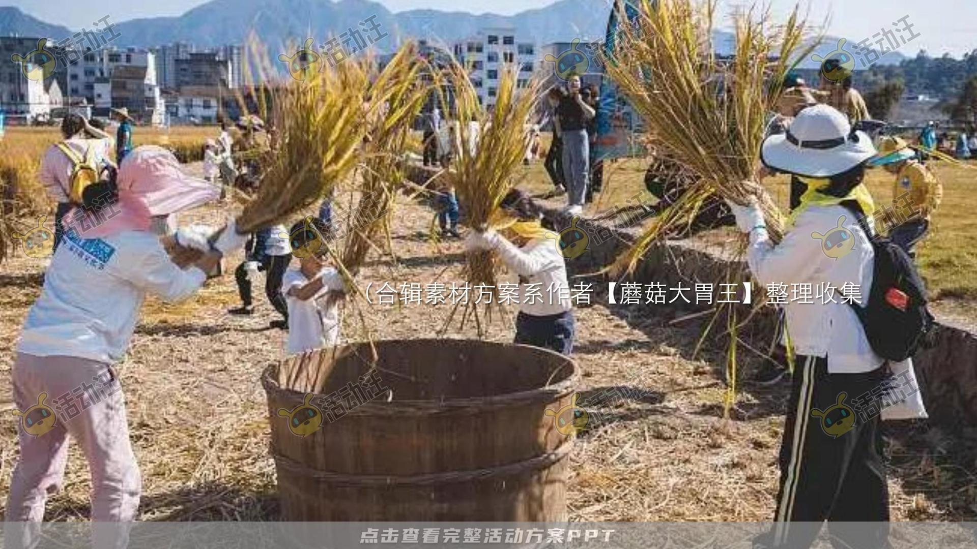 生活节活动策划方案