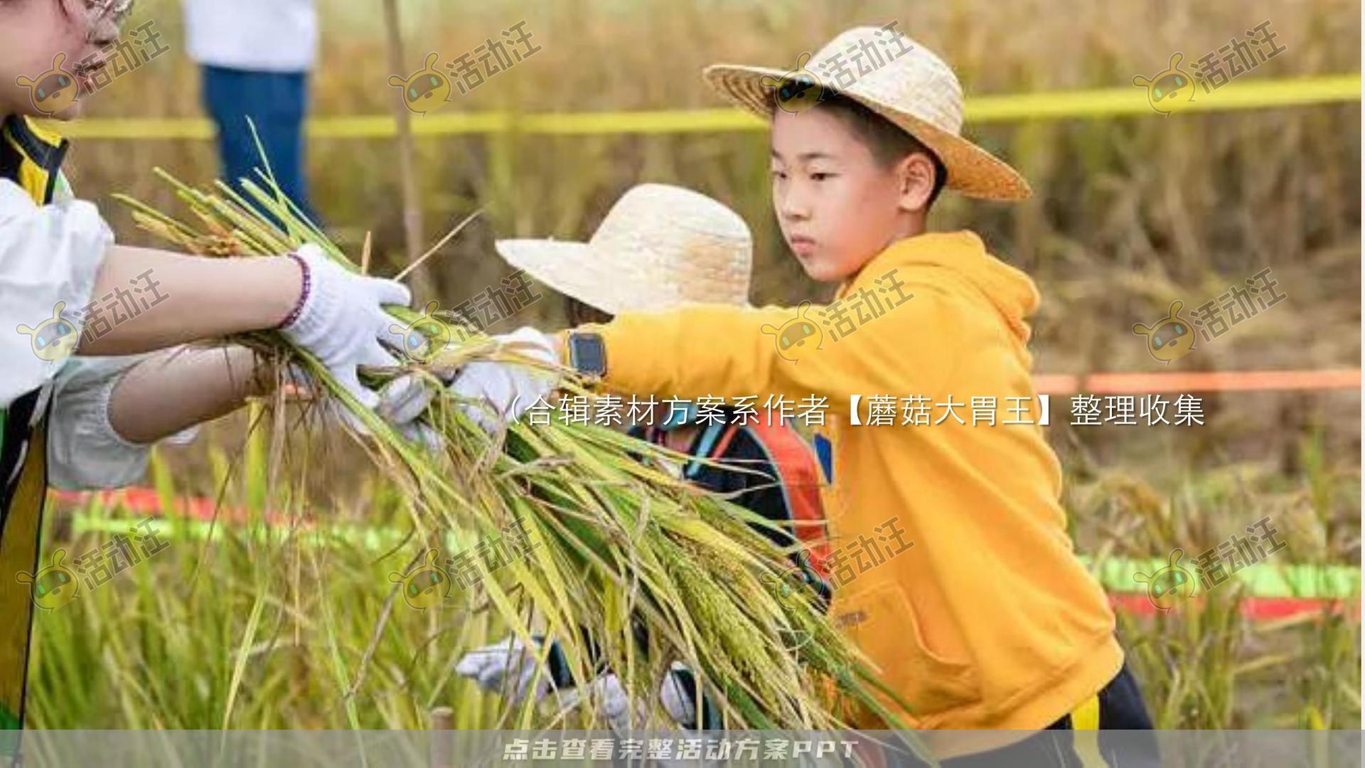 生活节活动策划方案