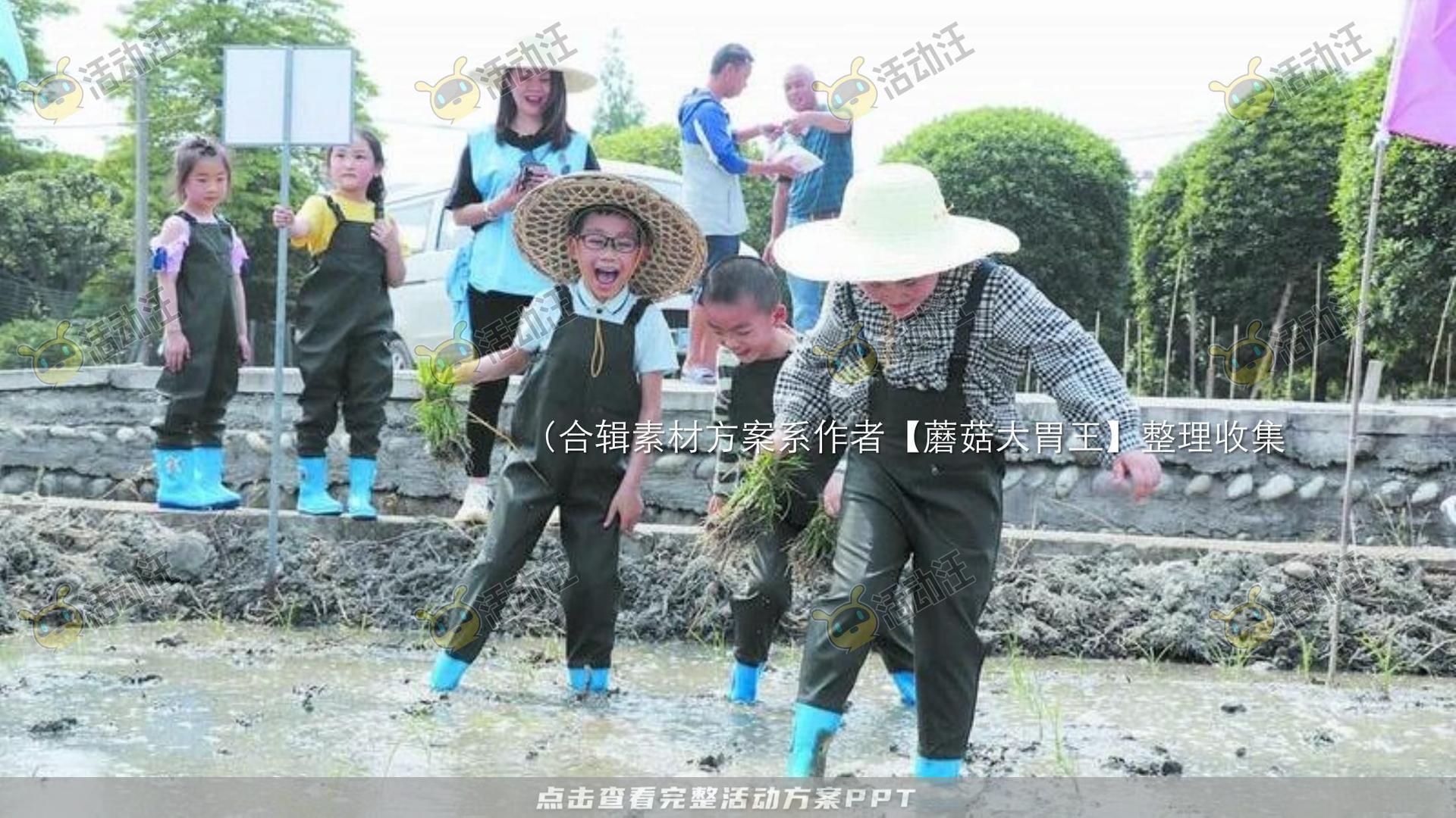 生活节活动策划方案